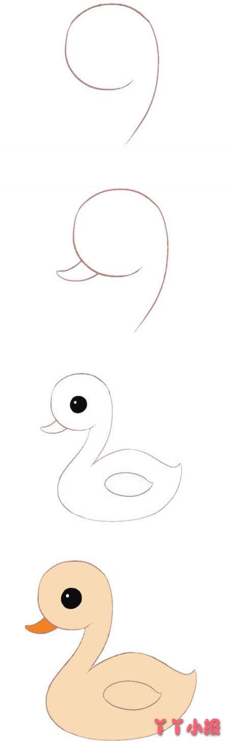 然后接下去画它的身体,最后给它上好好看的颜色这样一只可爱的小天鹅