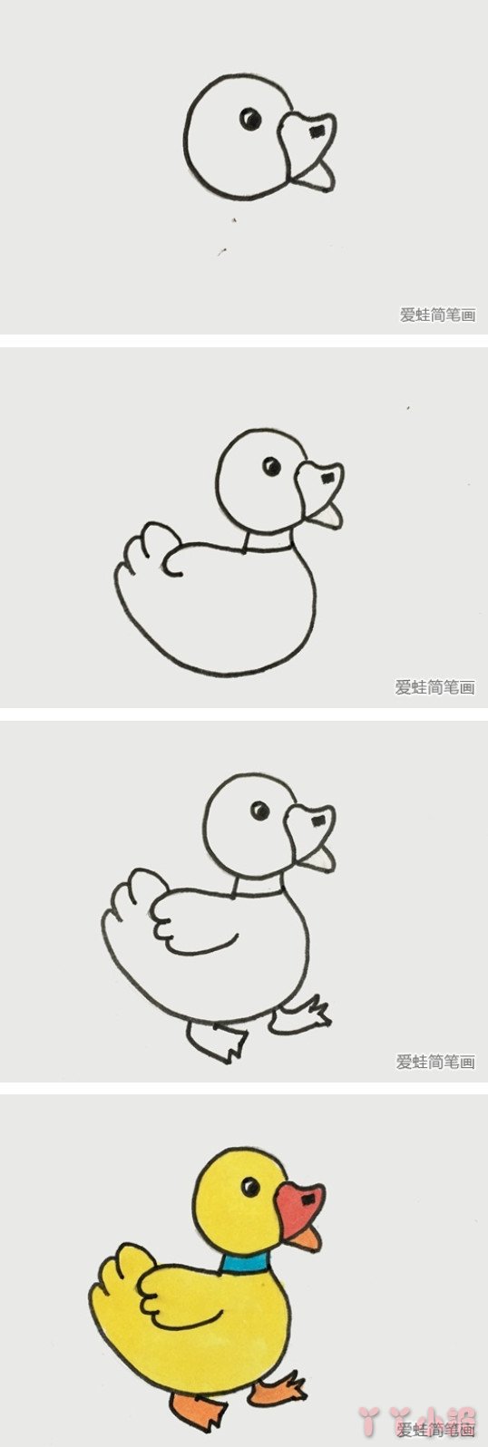 小鸭子的简笔画怎么画带步骤简单又好看
