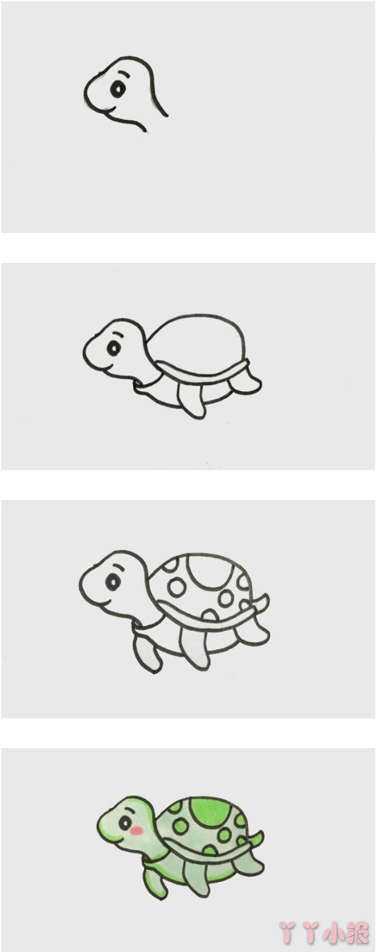 小海龟怎么画带步骤涂色海龟简笔画图片