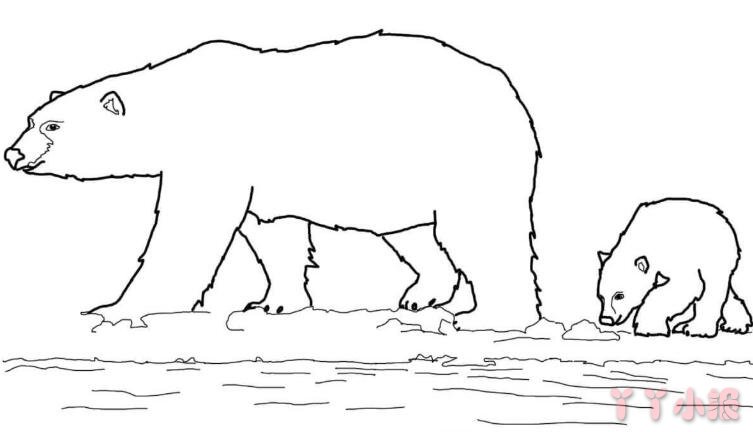 北极熊手绘 防冻图片